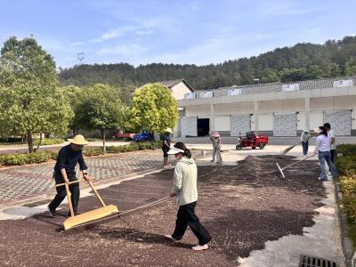 分乡镇普溪河村油菜丰收：机械化赋能，村集体经济再添“金”