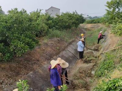 夷陵区鸦鹊岭镇：齐心协力，清淤修缮保春耕
