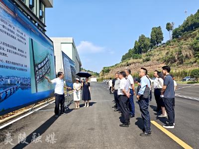 政研企协同发展低空经济 加速产业落地夷陵