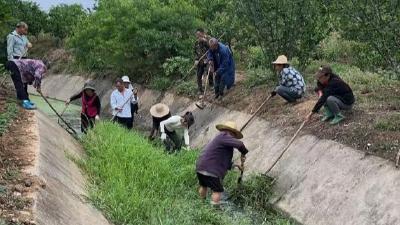 夷陵区鸦鹊岭镇：干群合力，打赢抗旱保收“主动仗”
