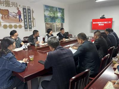 共商共议谋发展 联村共建促振兴