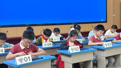 夷陵区鸦鹊岭镇：玩转数学显身手 科技赋能创未来