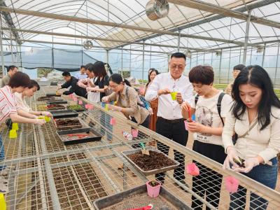 侨青“莓”好相约 助力夷陵乡村焕新颜