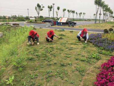 绘就环境卫生新画卷 共筑美丽宜居新家园