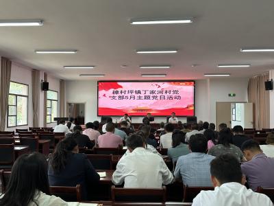 樟村坪镇丁家河村：牢记初心使命 强化党建引领