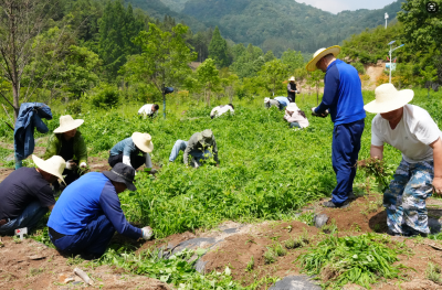科技护生态 绿色守三峡——大老岭保护区科技活动周推动生态保护与乡村振兴