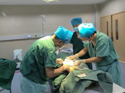开展人工皮技术 基层医疗能力再上新台阶