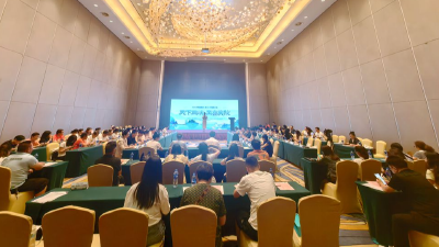 夷陵文旅推介会走进黄石 两地携手共绘“长江文旅协作”新图景
