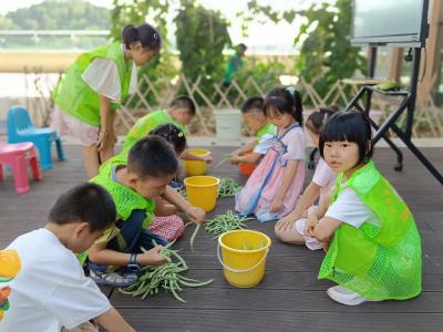萌芽菜园：“蔬” 写父爱  “园” 梦自然