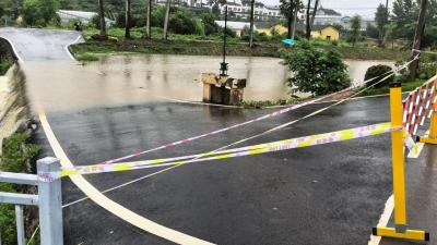 夷陵区鸦鹊岭镇：筑牢防汛安全线