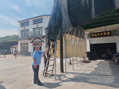 夷陵区鸦鹊岭镇：提升环境品质，绽放集镇魅力