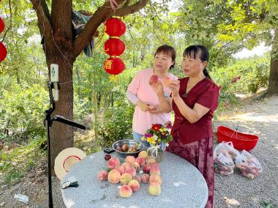 弹幕狂刷“求定位”！百亩果园的甜蜜暴击已送达