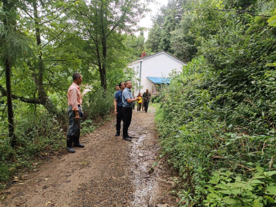 代表履职赴一线，硬化公路暖民心