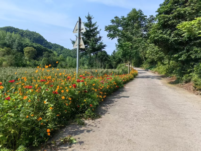 雾河“美颜”进行时 乡村画卷诗意开