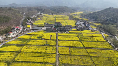 美丽乡村入画来 金竹村全力推进公路沿线人居环境整治