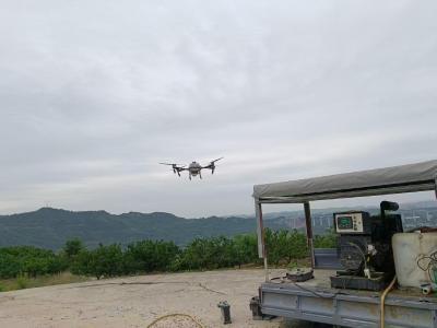东城试验区：科技赋能 全力打响2025年柑橘大实蝇联防攻坚战