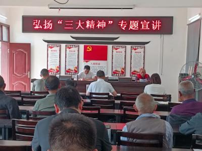 开展“三大精神”专题宣讲，凝聚乡村振兴精神力量