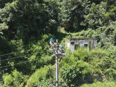 夷陵供电：联合检修“练兵”  守护坚强电网