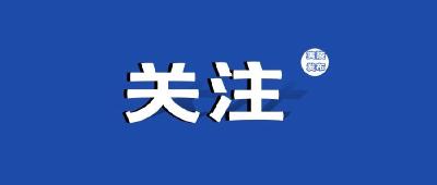 何以中国｜大别山下的革命岁月（三）：烈士青丝