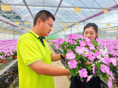 返乡青年的“花”样逆袭