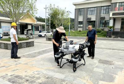 龙泉镇：织密柑橘防护网 统防统治保丰收