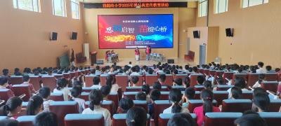 夷陵区鸦鹊岭镇：青苗学子辩语论法 法治课堂启智润心