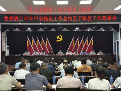 龙泉镇召开上半年平安稳定工作总结暨下阶段工作部署会