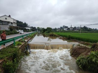 夷陵区鸦鹊岭镇：同心筑牢防汛堤 抗洪抢险保民生