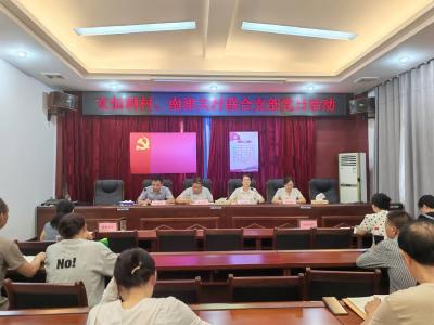联村共建聚合力 党建引领促发展