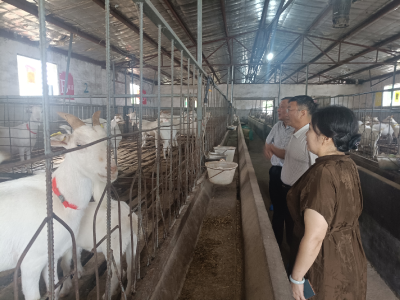 湖北省农科院专家组来夷开展农业种质资源保护利用项目绩效评价