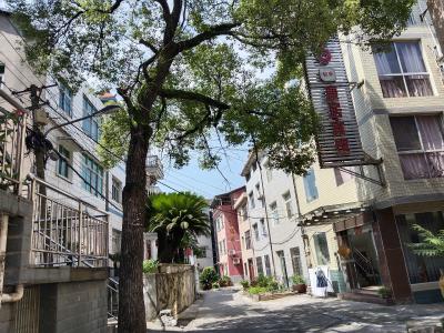 党建引领除险患 老树清障护民安