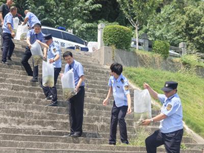 践行恢复性司法 夷陵五部门联合开展增殖放流