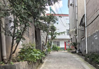 党建引领筑新景 花坛“焕颜”惠民生