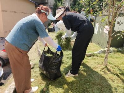 除草防蚊护家园 社区行动暖民心