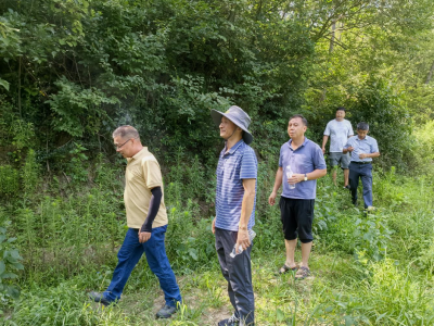 分乡镇开展2024-2025年度松材线虫病疫木除治验收工作