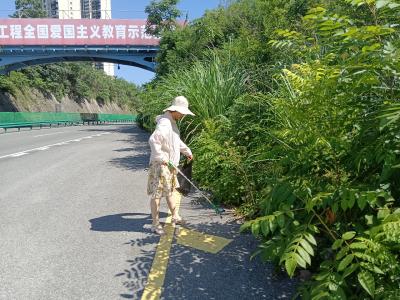 守护路域净美环境 筑牢秸秆禁烧防线
