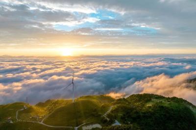 夷陵区第六届区委常委会召开第95次会议