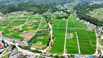 分乡镇：深化农文旅融合 打造乡村振兴新范式