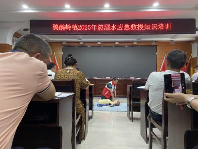 夷陵区鸦鹊岭镇开展防溺水急救知识培训