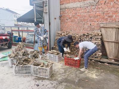 夷陵区鸦鹊岭镇：齐心共建人居环境 美丽乡村生态宜居