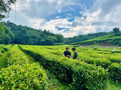 崔建华：乡音“码”上听民声 穷山沟里“四治”兴