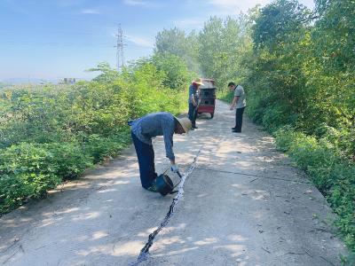 夷陵区鸦鹊岭镇：硬化道路焕新颜 重建河堤保安全