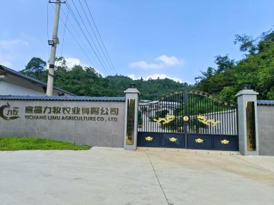 "女猪倌"打造"4S"店 惠企利民进万家
