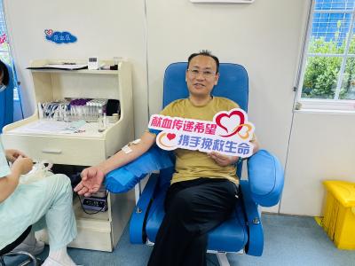 夷陵区人民法院：法徽下的热血担当