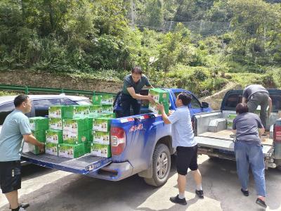 爱心助农 “梨”轻情意重