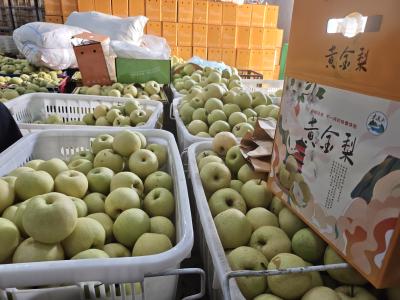 樟村坪镇：企业反哺显担当 金秋助农第一单
