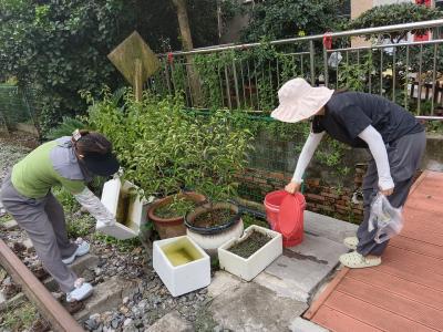全民总动员 清积水灭蚊患