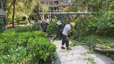 风雨后的守护 雨后清障加速度