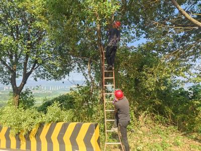下坪村集中清理道路树枝 消除隐患护航出行安全