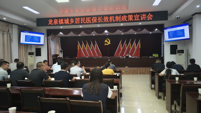 龙泉镇召开城乡居民医保长效机制政策宣讲会